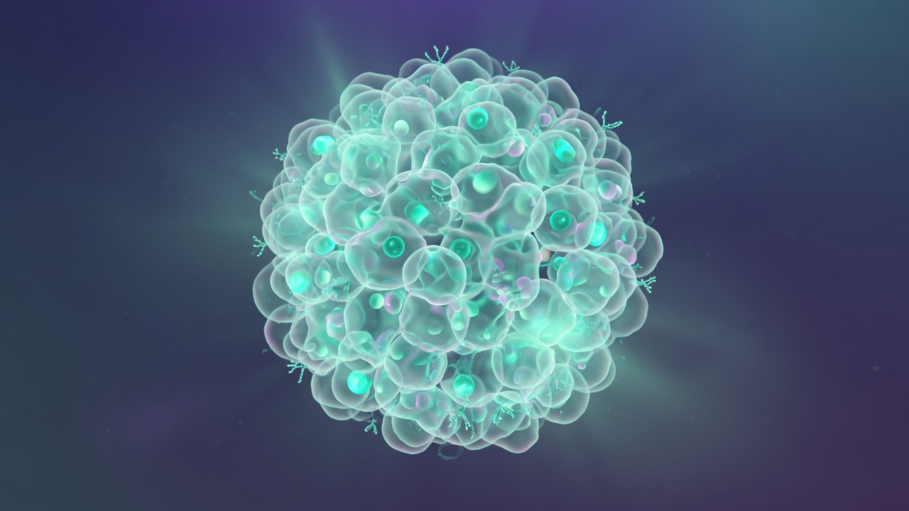 Mini-organs in dishes are changing how we test ideas